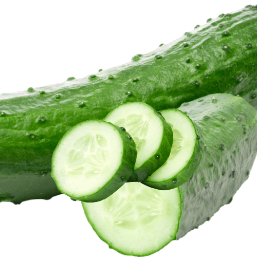 싱싱한 오이 사진