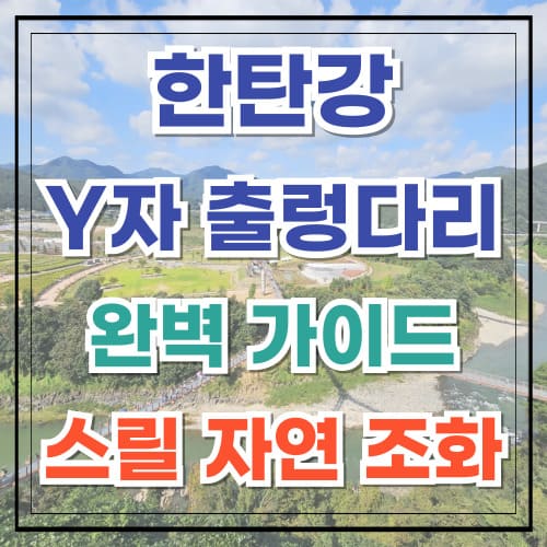 포천 한탄강 Y자 출렁다리 완벽 가이드 스릴과 자연의 조화