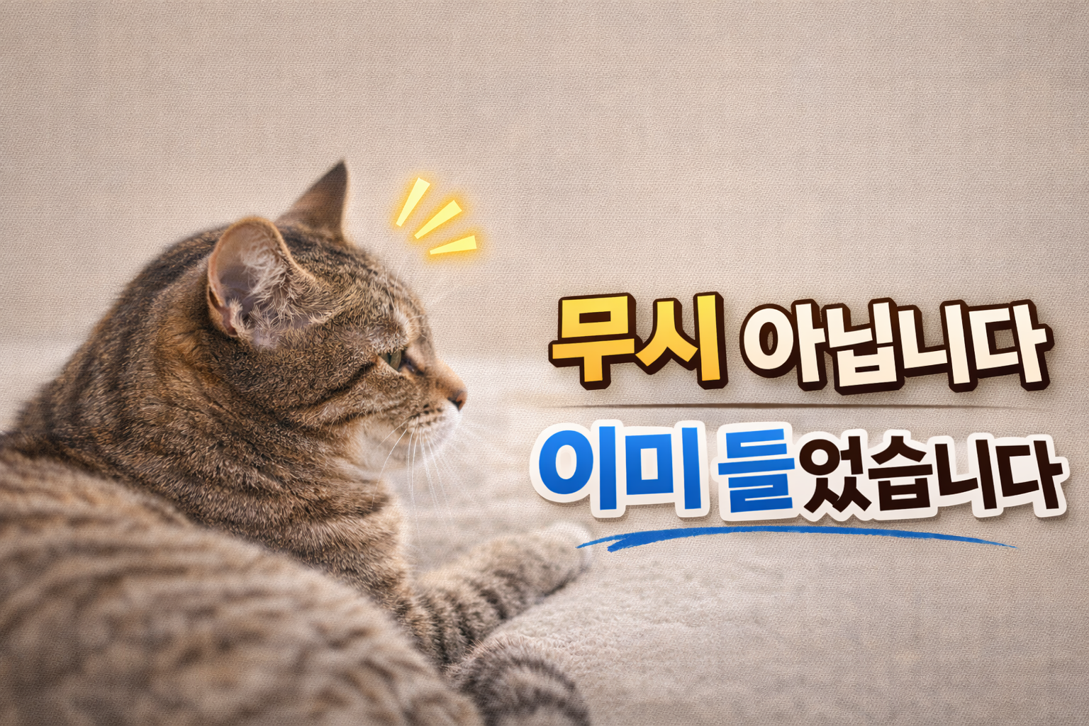 고양이가 보호자 목소리에 귀만 움직이는 행동의 의미 / 무시가 아니라, 이미 듣고 있다는 신호입니다