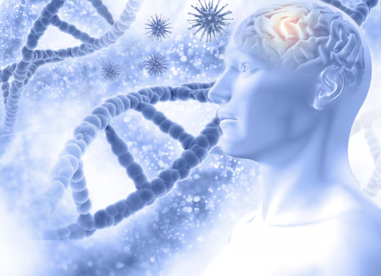 포스파티딜 세린 효능 부작용 가격 복용법 2026 최신정보