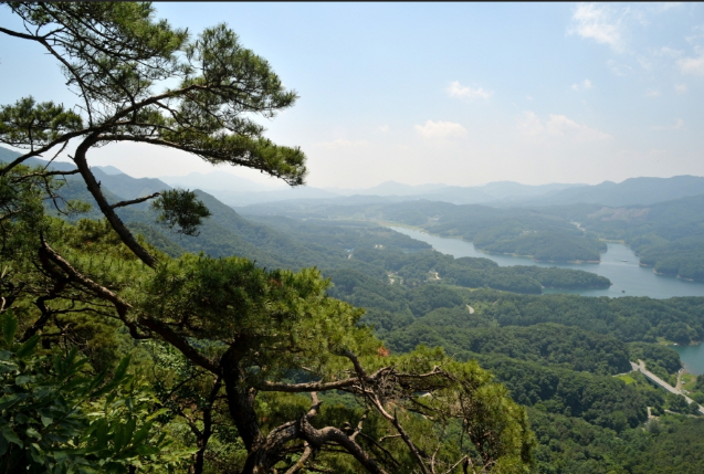  충북 충주 악어봉