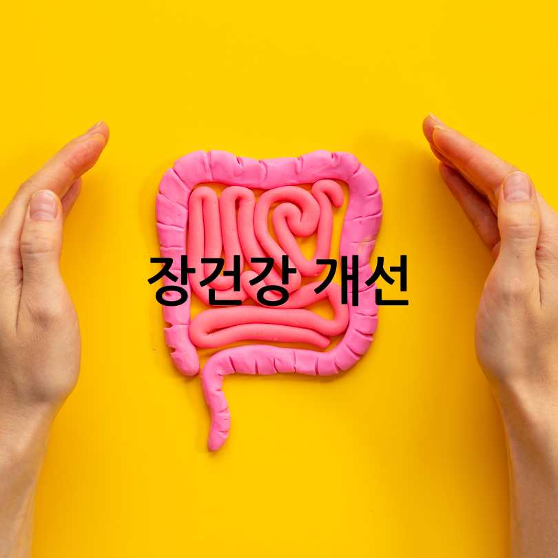 간유산균효능,복용법