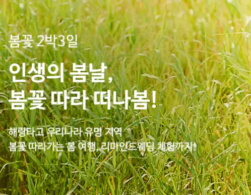 테마코스-봄꽃