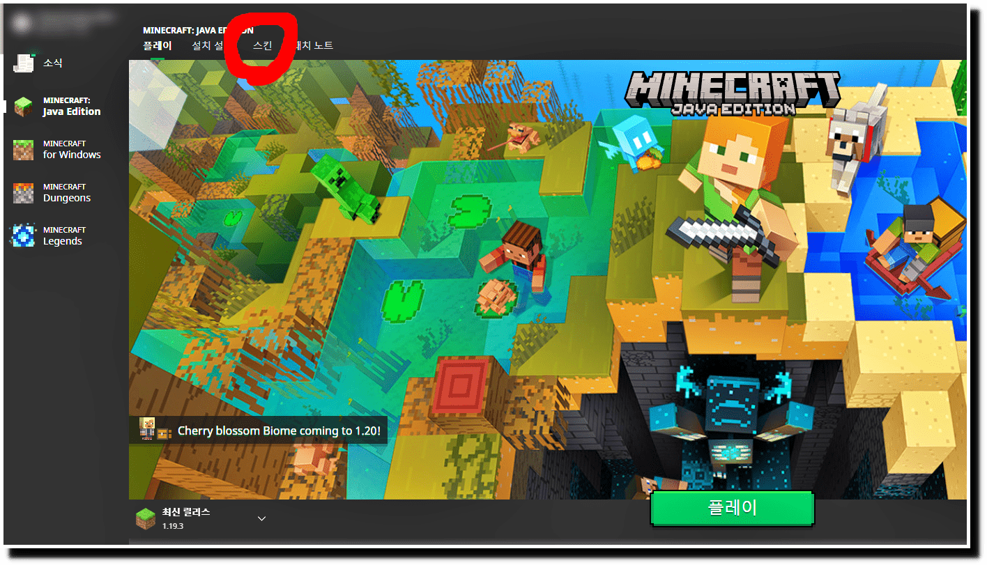 마인크래프트 스킨