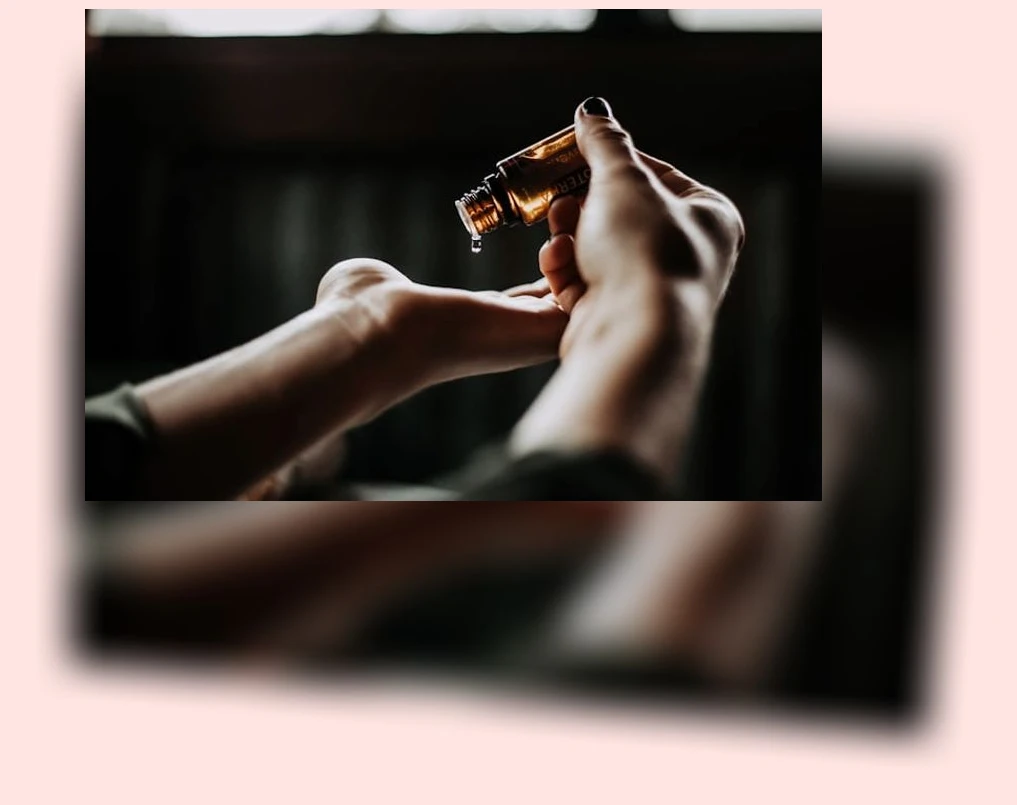 고양이 장 건강_1_subsection