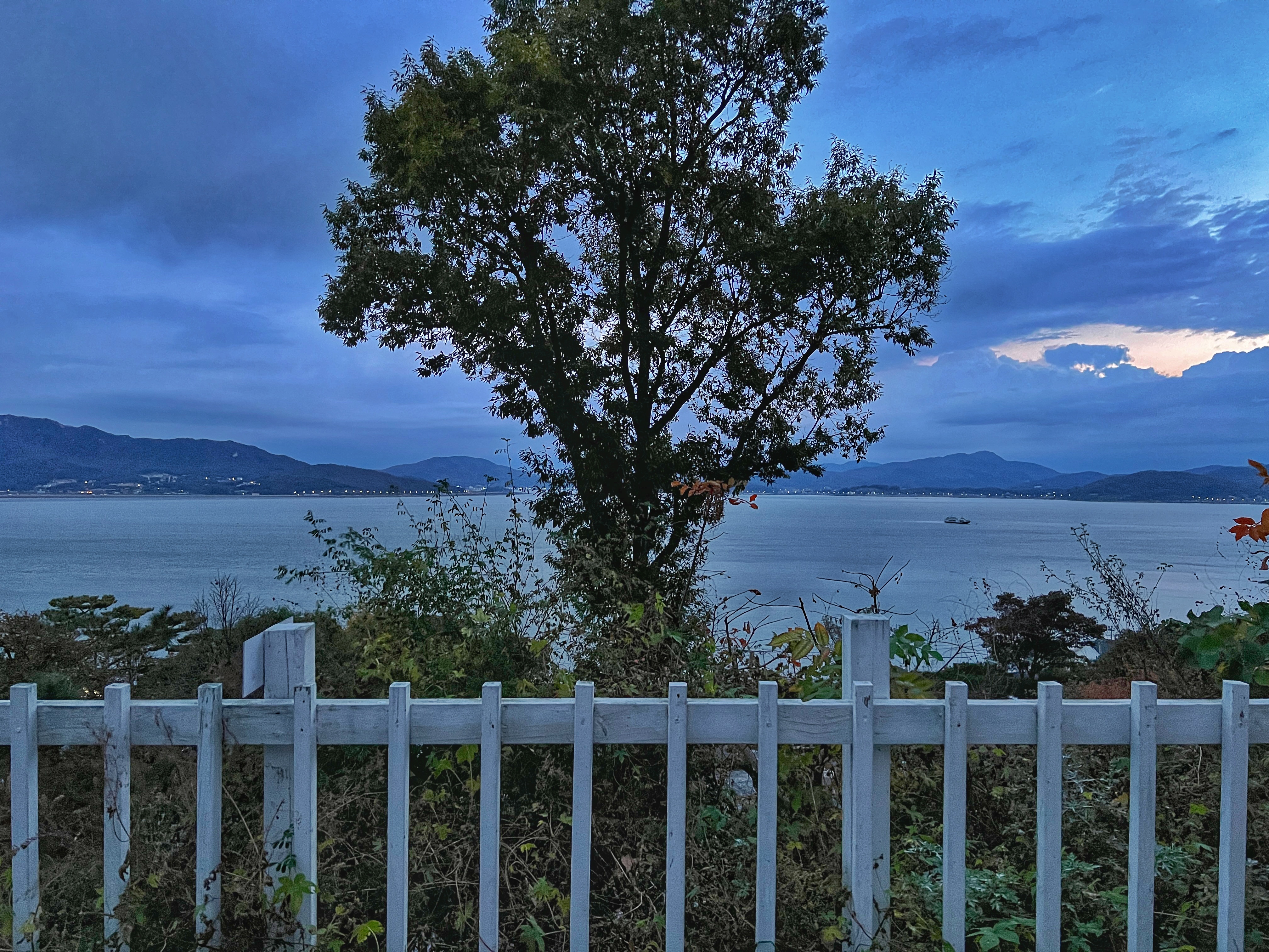 씨사이드힐캠핑장