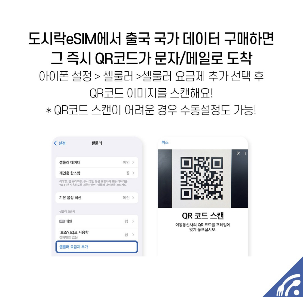 일본이심