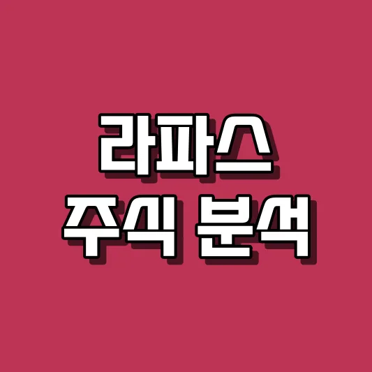 라파스 주식 분석