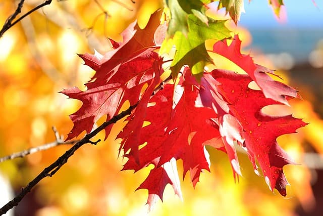 스마트한 일상을 위한 날씨 앱 추천