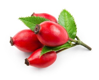 로즈힙퓨레