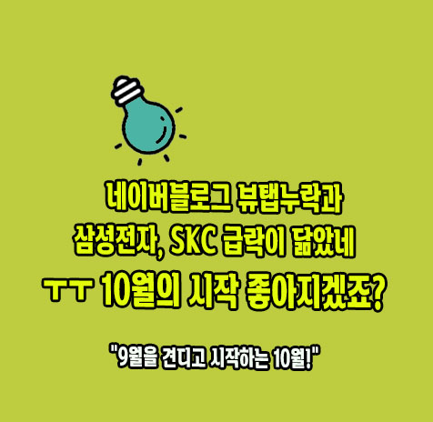 네이벌블로그 뷰탭누락 및 삼성전자, SKC 급락 닮았네