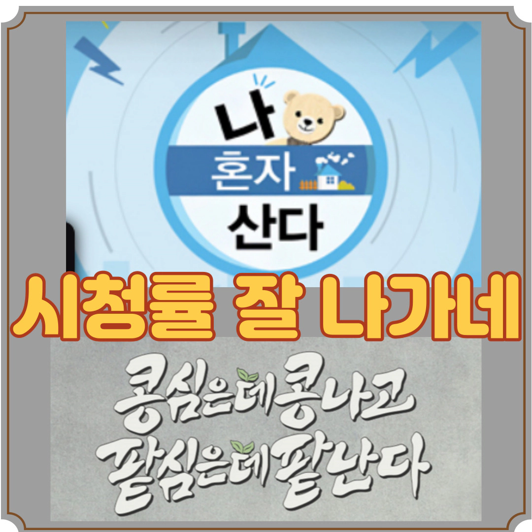 나 혼자 산다 시청률 '고공 행진' Vs 콩콩팥팥 시청률 '선전'