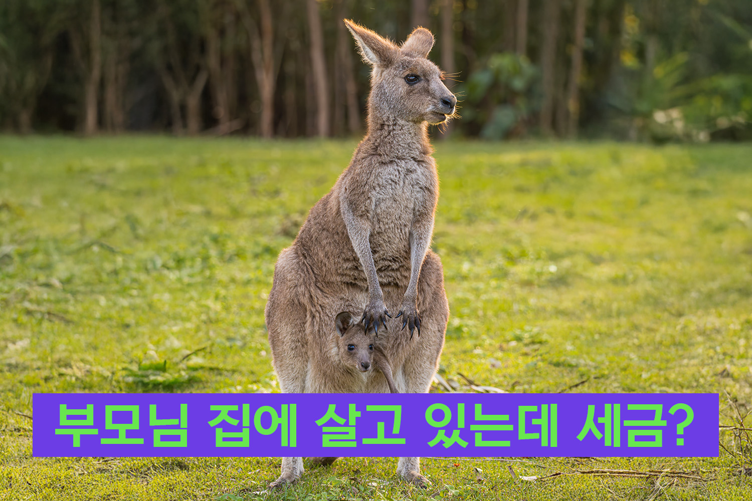 부모명의아파트 증여세