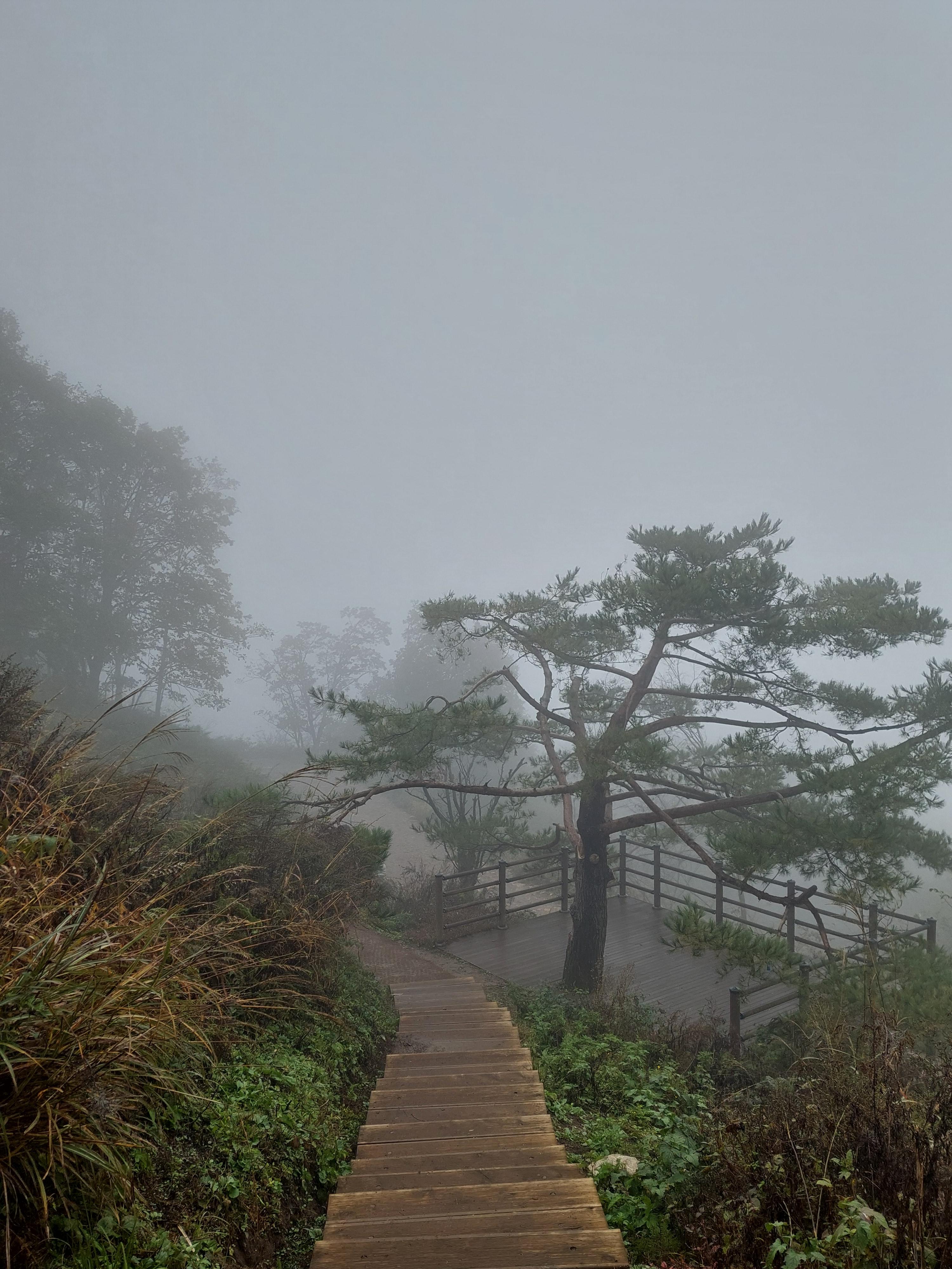 민둥산