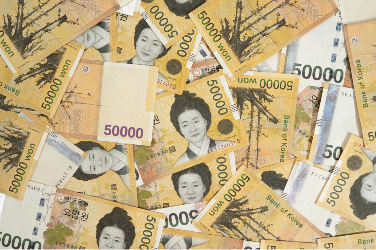 2025년 삼재띠