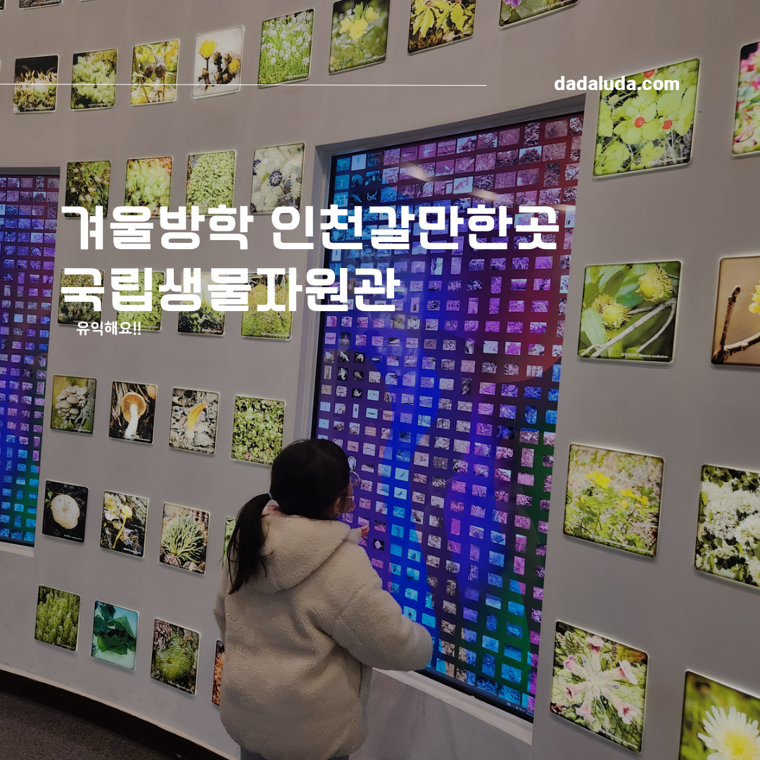 겨울방학 아이와 가볼만한곳 인천 국립생물자원관