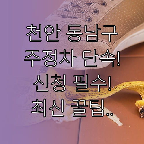 주정차 단속 문자 알림 서비스 천안 ..