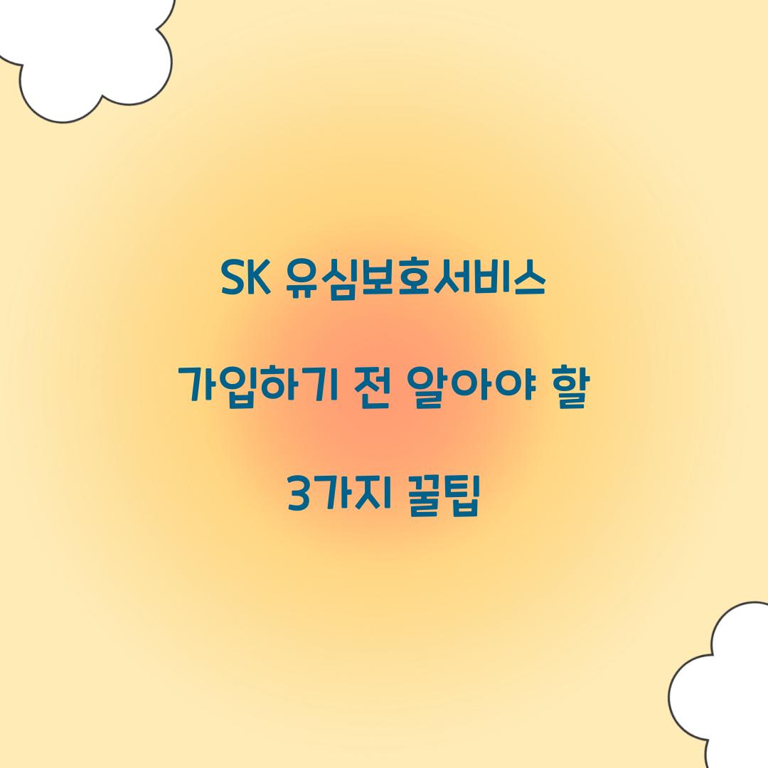 SK 유심보호서비스 가입