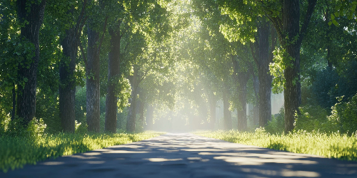 지구 환경 살리기 : 숲의 중요성과 전 세계 산림 복원 노력 및 성공 사례