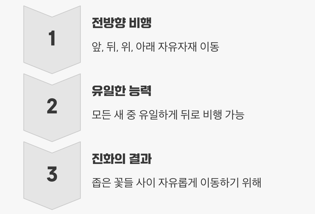 새들의 상식을 뒤엎는 후진 비행