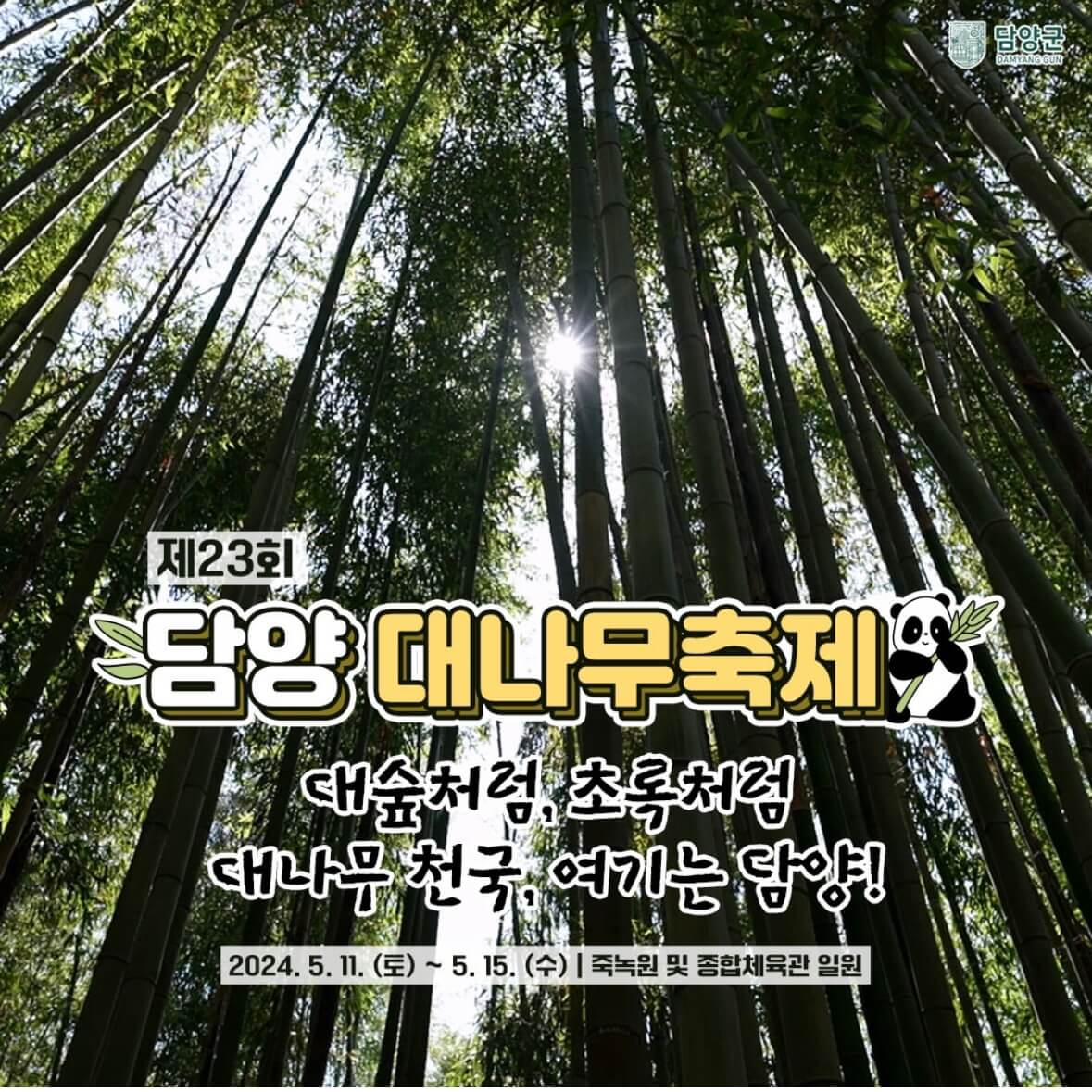 담양 대나무축제