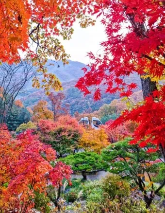 화담숲 입장료 할인 받는 법부터 예매 꿀팁까지는 총정리_15