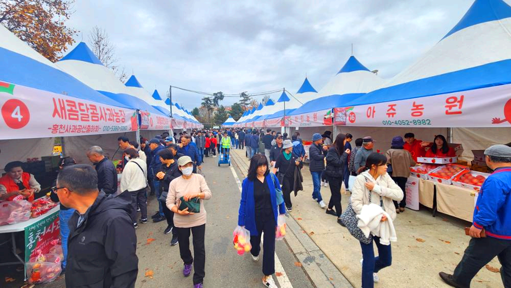 홍천사과축제