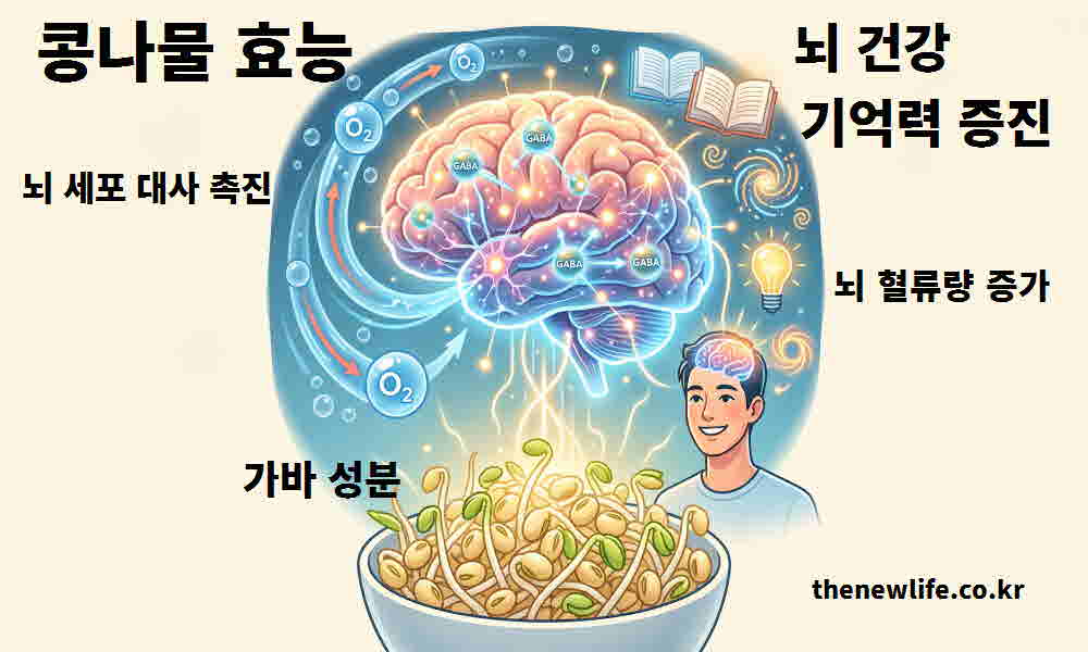 콩나물 효능 뇌 건강 기억력 증진