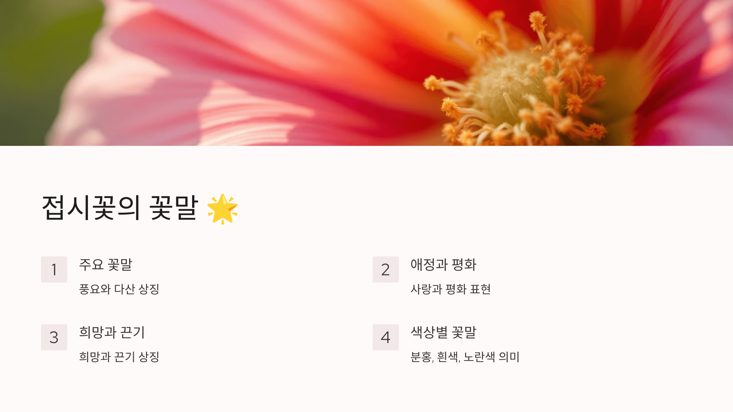 접시꽃 사진입니다.