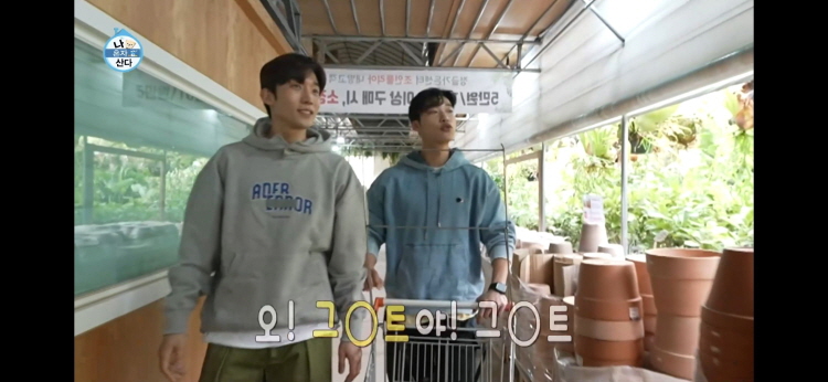 나 혼자 산다 492회