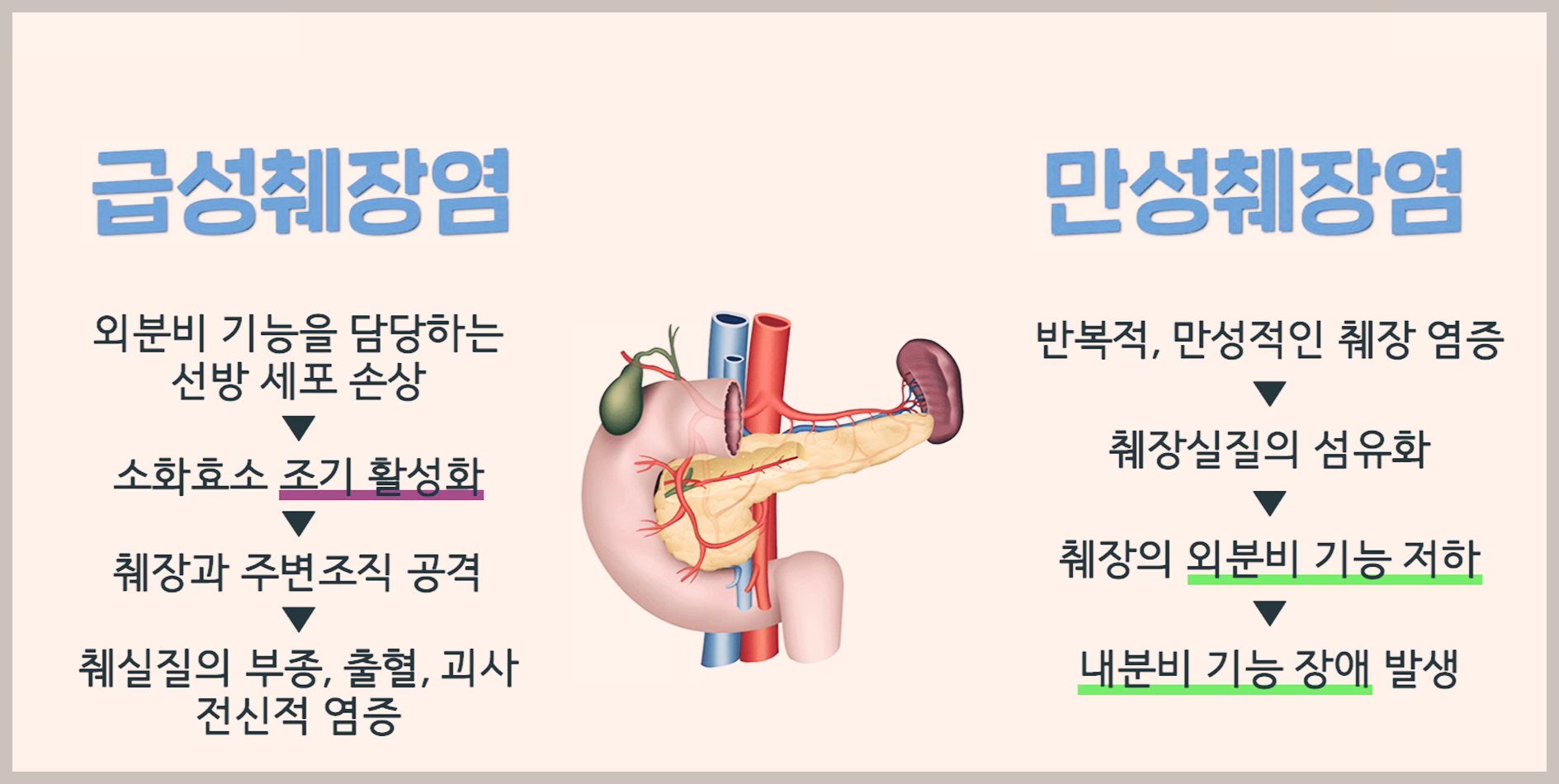 췌장암 초기증상