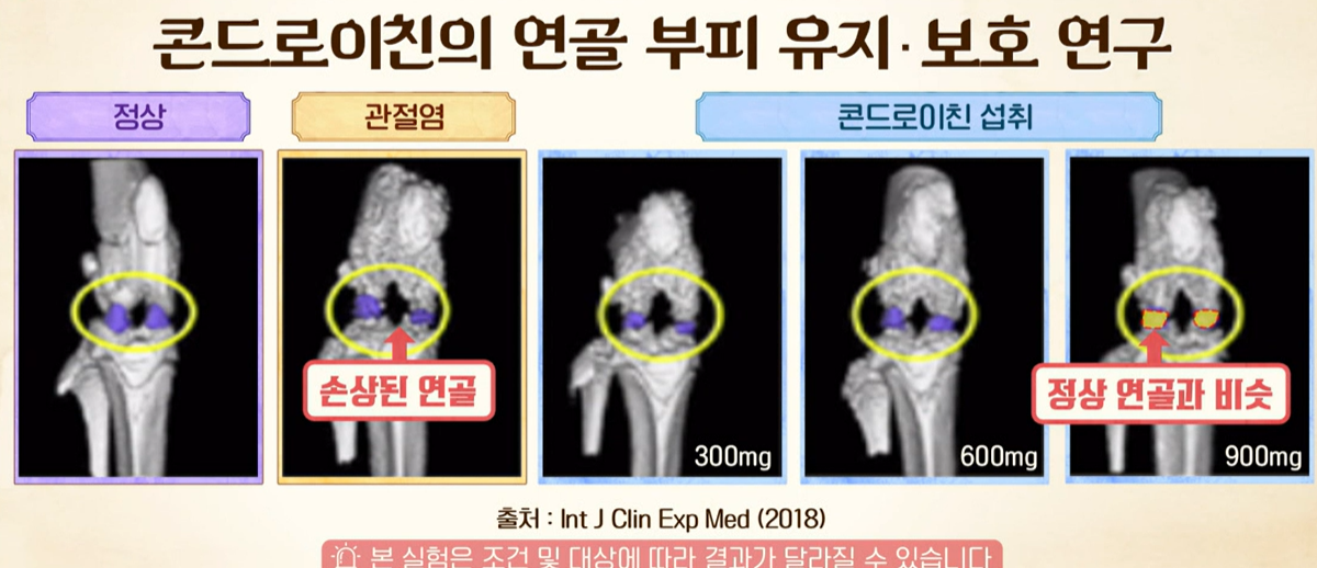 콘드로이친 효능