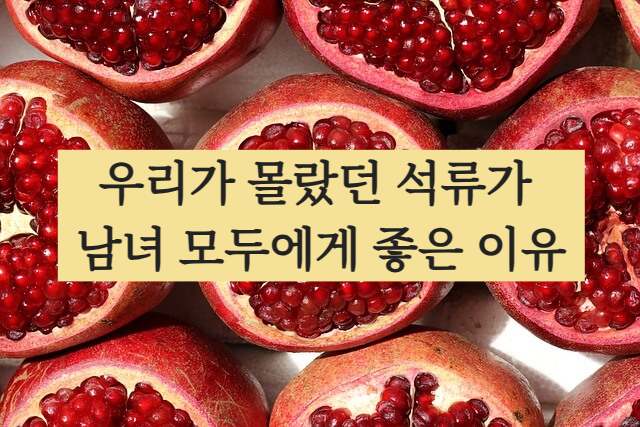 석류 효능