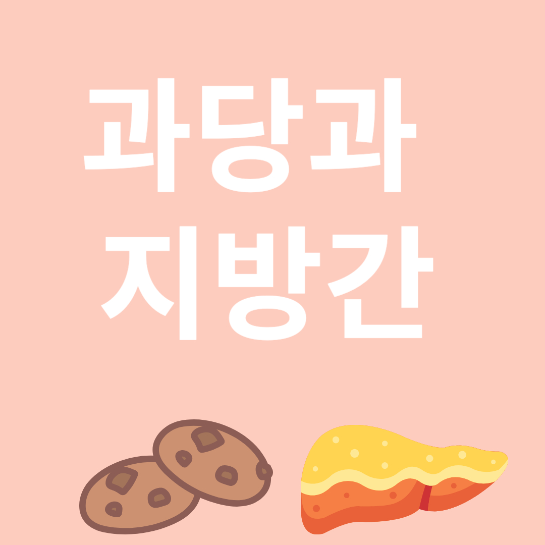 과당과 지방간에 대한 이미지