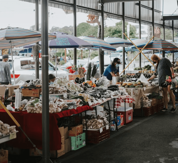 하와이 자유여행: 항공부터 렌터카까지&amp;#44; 모든 것 총정리!