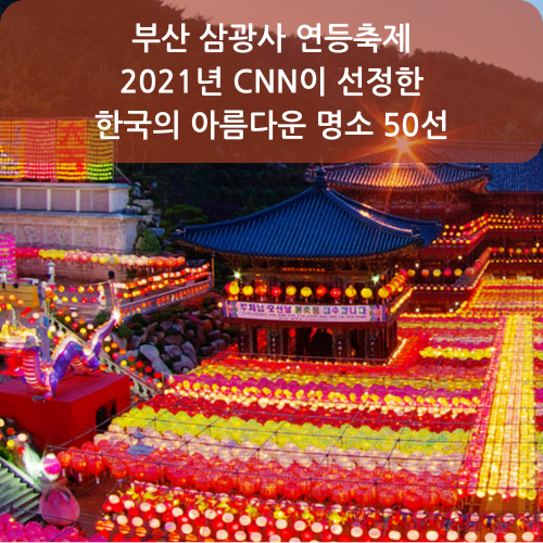 부산 삼광사 연등축제