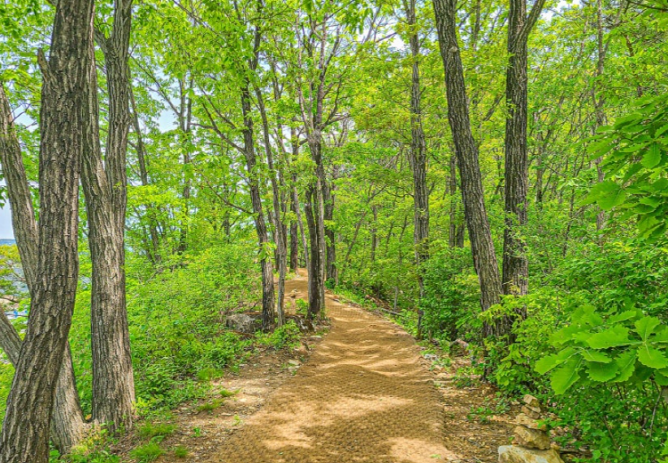 봉명산 출렁다리