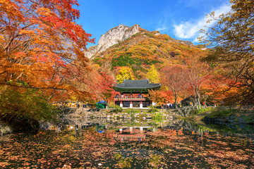 2023 단풍여행 시기 지역별 명소