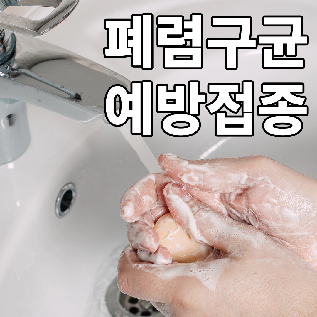 폐렴구균 예방접종-폐렴 예방접종
