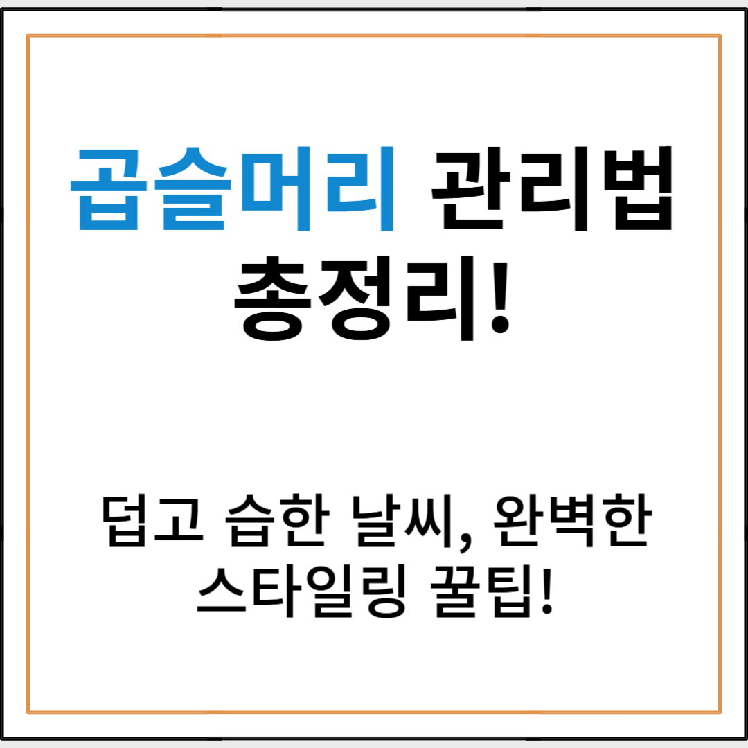 곱슬머리 관리법 총정리! 덥고 습한 날씨에도 완벽한 스타일링 꿀팁 (남녀편)