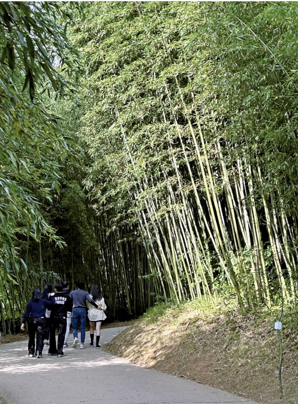죽녹원
