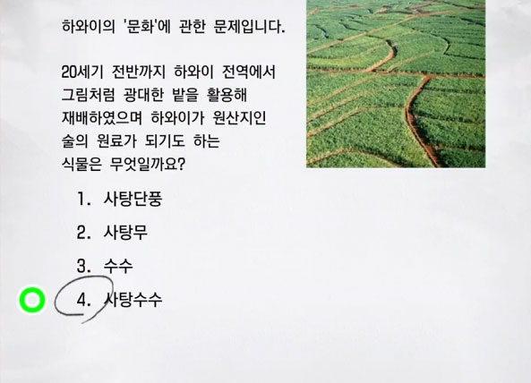 하와이 2급 2 이미지