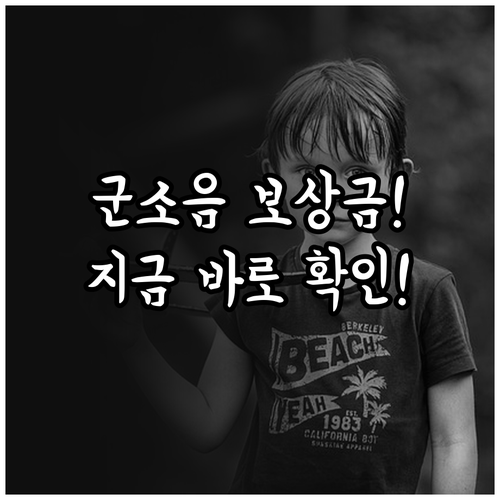 군소음 대책지역 거주자 보상금 신청 ..