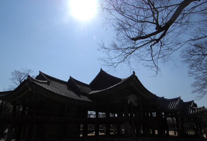 남원 벚꽃