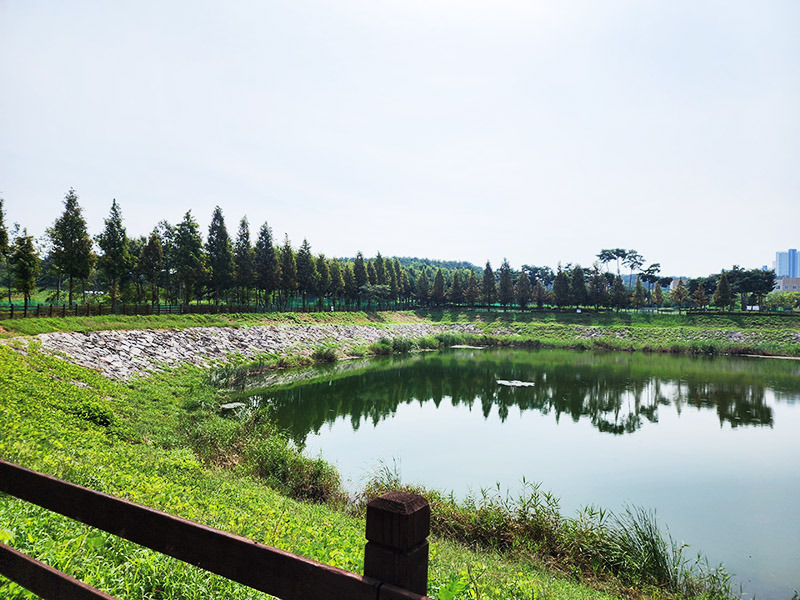 천안 풍세파크골프장. 충남 천안시 동남구 풍세면 용정리 971 (풍세산업단지 내)