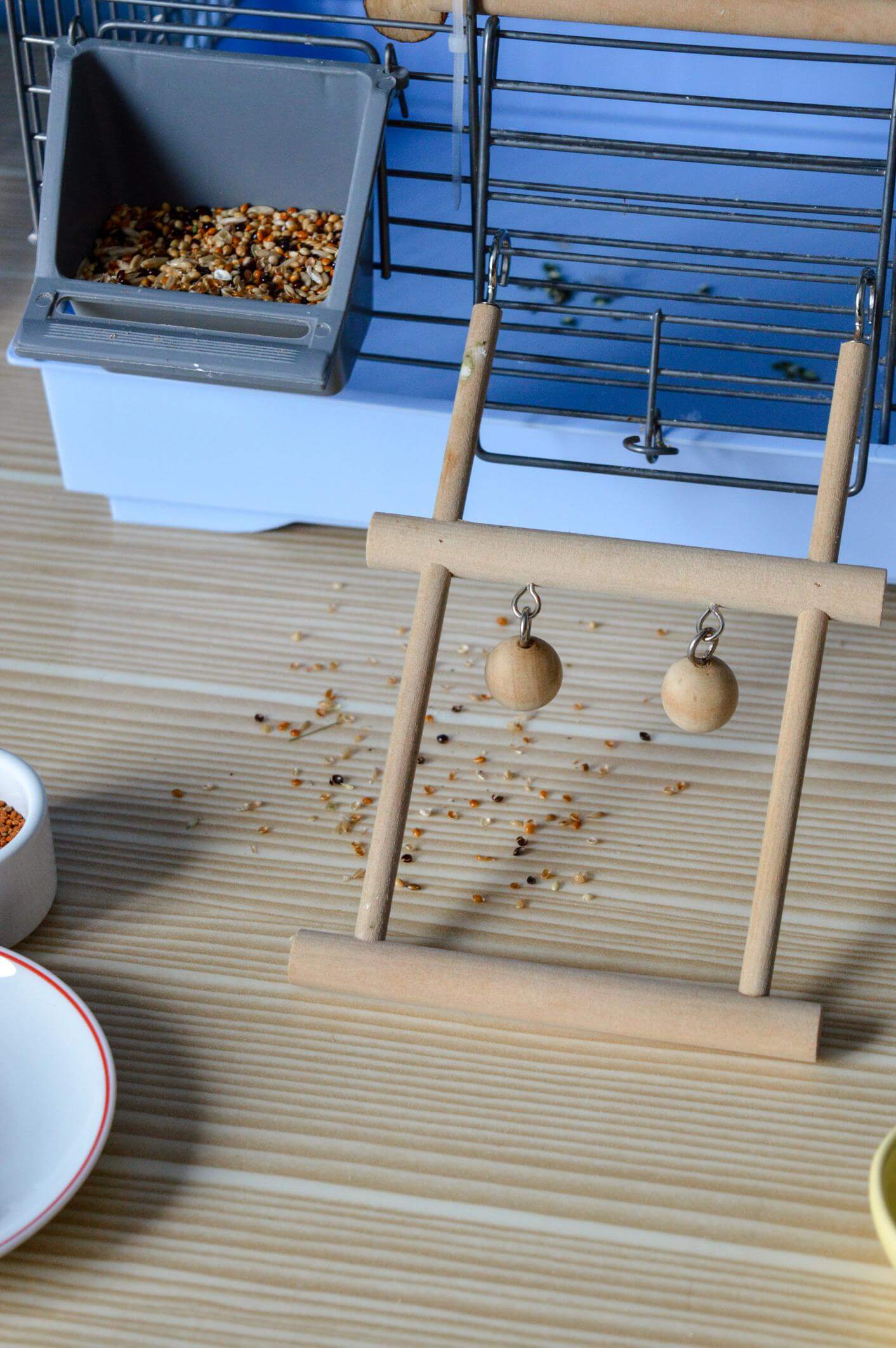 국내 반려 조류 시장의 구조와 규제, 해외 조류 사육 문화, 화이트리스트 제도