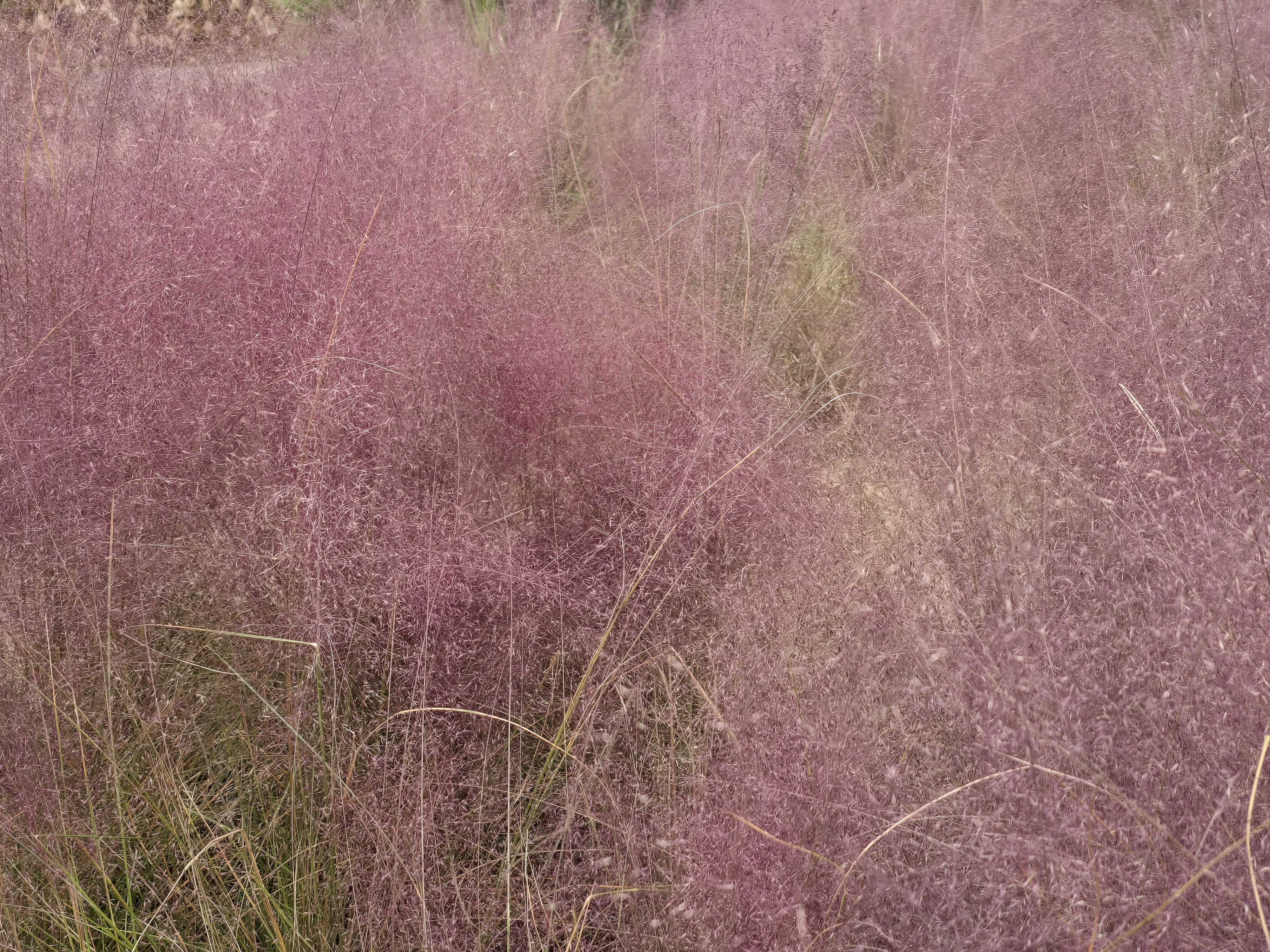 청산 수목원 방문기