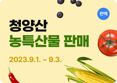 청양고추구기자축제