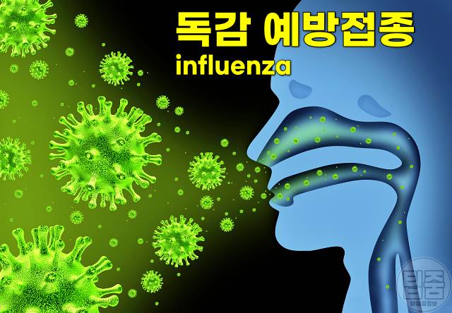 독감 예방접종 시기 부작용 비용 무료