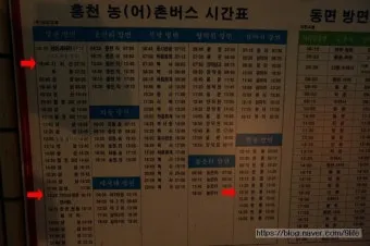 홍천시외버스터미널 시간표 예매 조회 정리_20